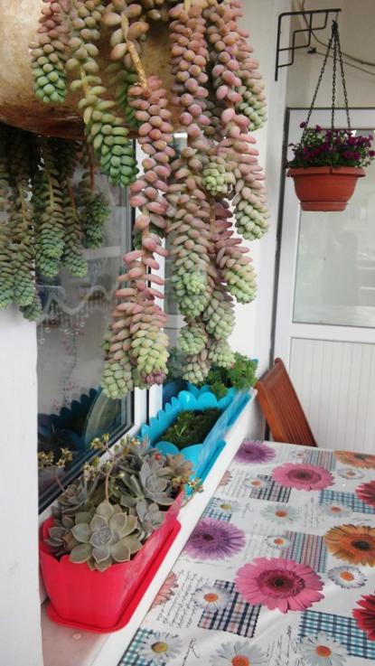 Name:  031.jpg
Views: 282
Size:  58.7 KB