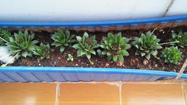 Name:  036.jpg
Views: 280
Size:  42.2 KB