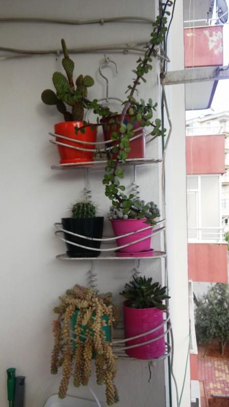 Name:  033.jpg
Views: 308
Size:  43.7 KB