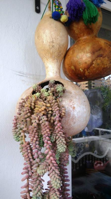 Name:  040.jpg
Views: 304
Size:  54.3 KB