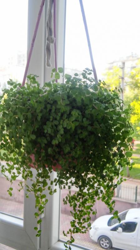 Name:  022.jpg
Views: 291
Size:  52.7 KB