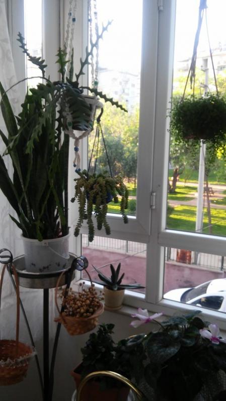 Name:  045.jpg
Views: 301
Size:  51.1 KB