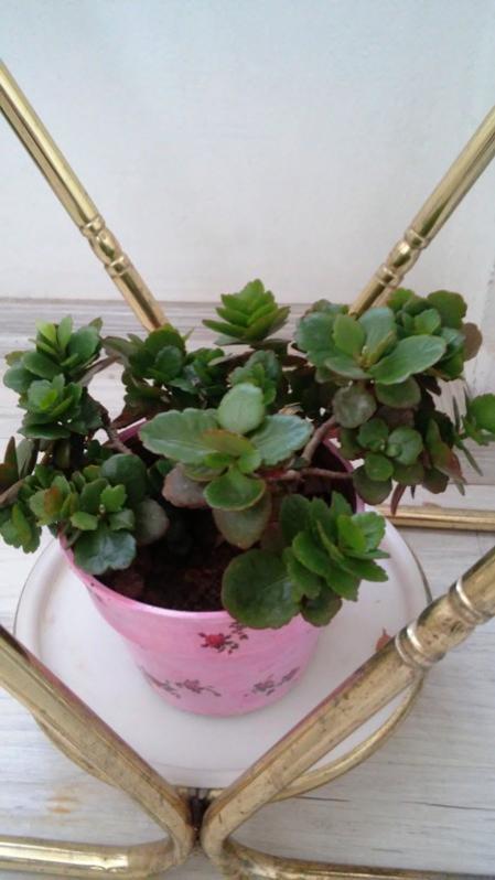 Name:  031.jpg
Views: 288
Size:  41.7 KB