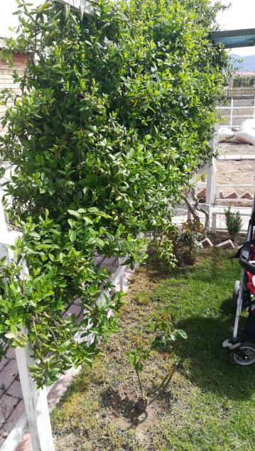 Name:  IMG-20180416-WA0009.jpg
Views: 407
Size:  78.7 KB