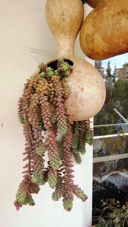 Name:  003.jpg
Views: 479
Size:  55.5 KB
