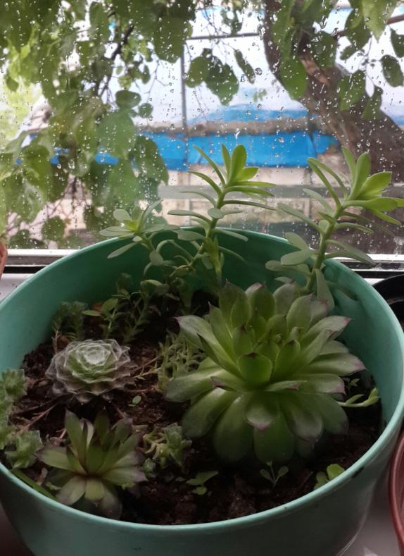 Name:  20180501_210015.jpg
Views: 398
Size:  74.5 KB