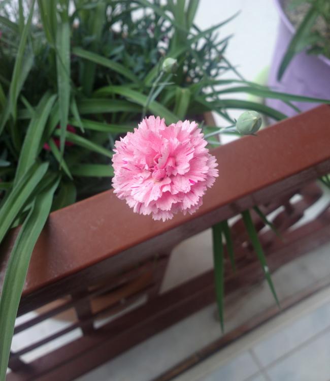Name:  dfdfs.jpg
Views: 774
Size:  46.0 KB