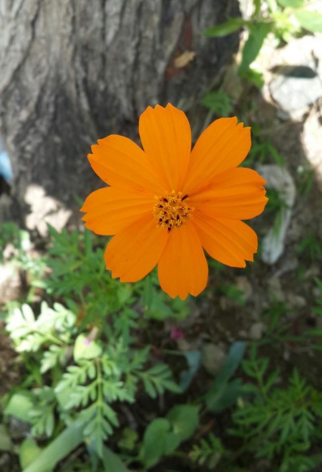 Name:  20180611_221523.jpg
Views: 615
Size:  58.3 KB