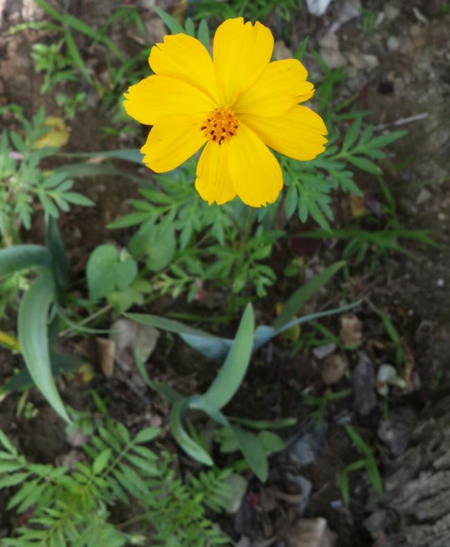 Name:  20180611_221609.jpg
Views: 659
Size:  57.1 KB