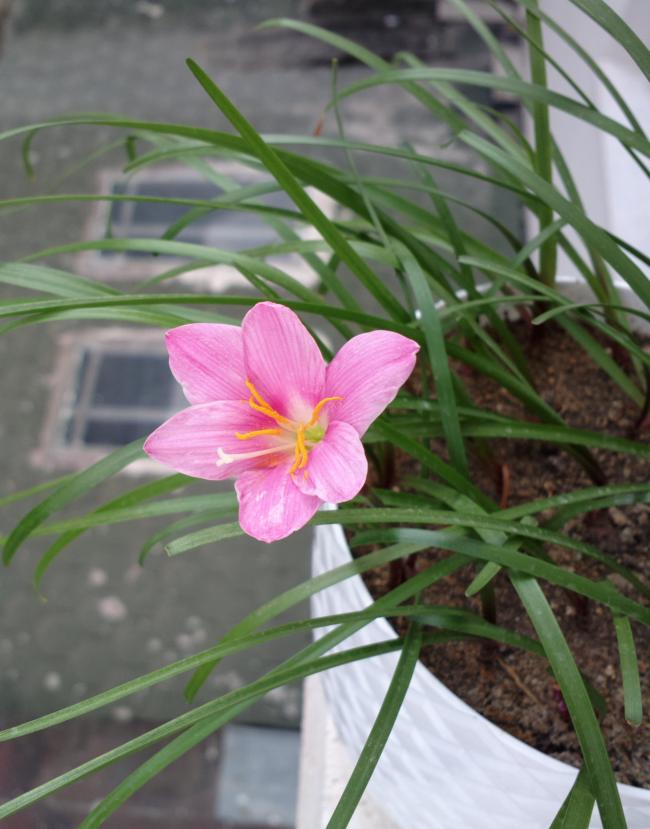 Name:  zp.jpg
Views: 480
Size:  61.8 KB