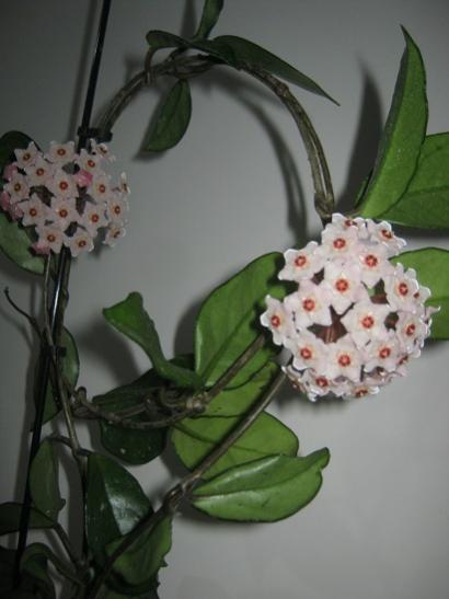 Name:  ilem tamam.jpg
Views: 1215
Size:  26.3 KB