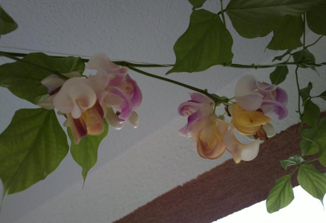 Name:  5556664.jpg
Views: 956
Size:  26.7 KB