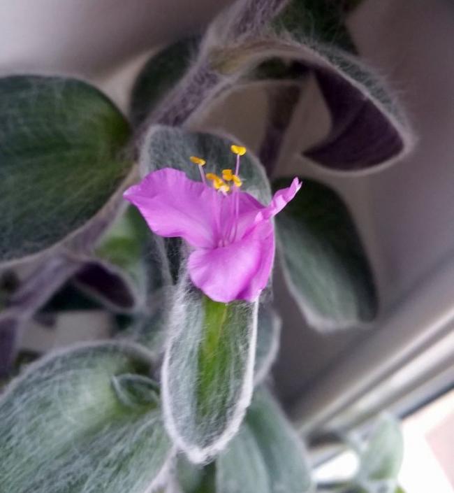 Name:  20190115_103644.jpg
Views: 911
Size:  40.1 KB