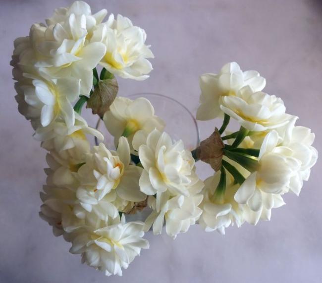 Name:  20190311_095727.jpg
Views: 803
Size:  34.2 KB