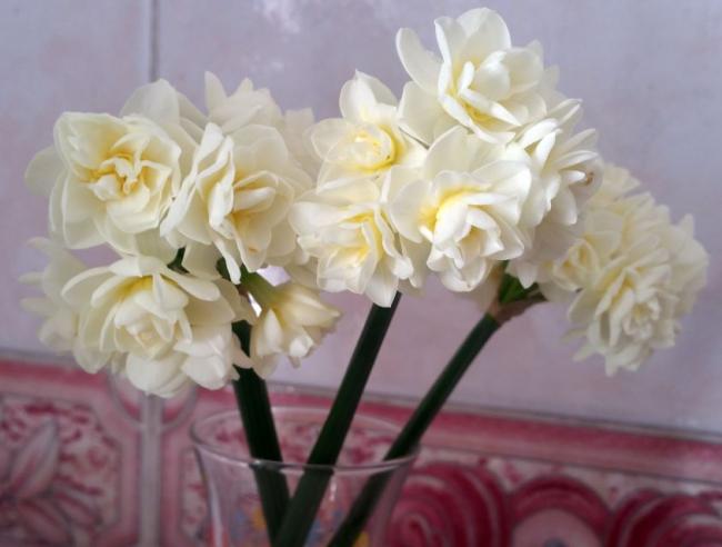 Name:  20190311_095812.jpg
Views: 753
Size:  31.3 KB