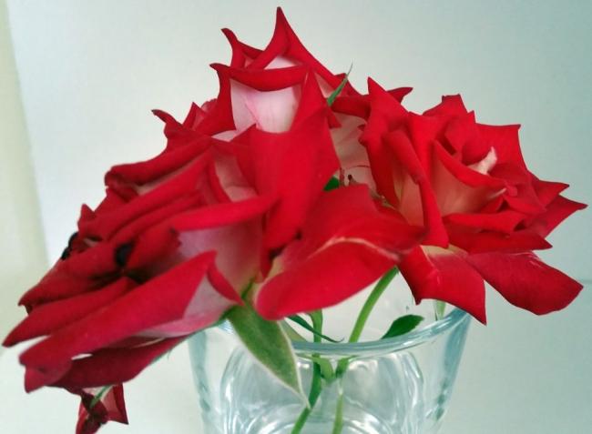 Name:  20190529_103913.jpg
Views: 692
Size:  30.1 KB