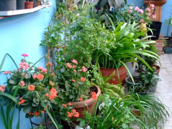 Name:  DSCF3572.JPG
Views: 1467
Size:  55.3 KB