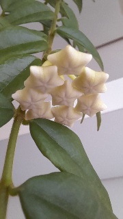 Name:  20260630_171800.jpg
Views: 0
Size:  22.4 KB