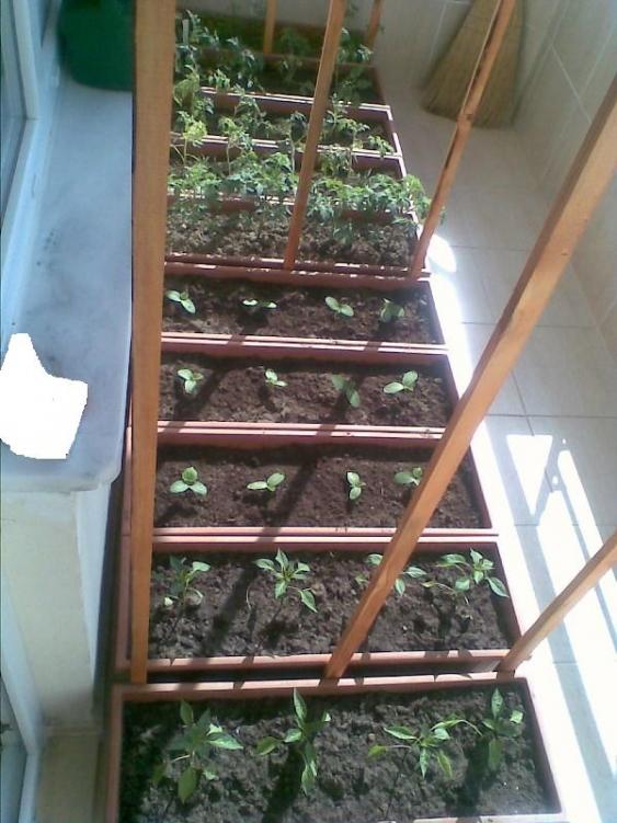 Name:  balkon.jpg
Views: 6695
Size:  66.1 KB
