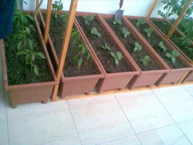 Name:  2.jpg
Views: 2272
Size:  43.7 KB
