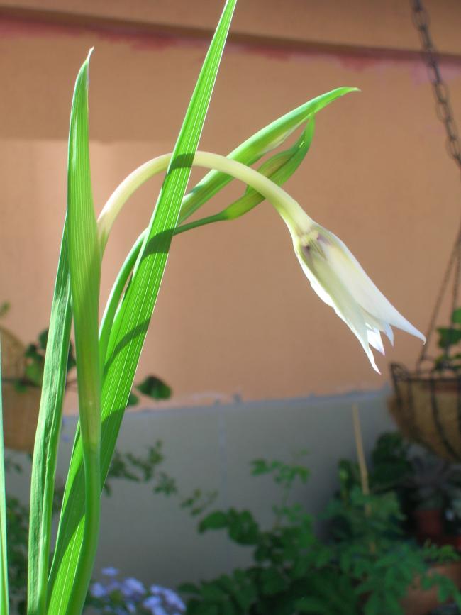Name:  DSCN6677.jpg
Views: 2445
Size:  47.9 KB