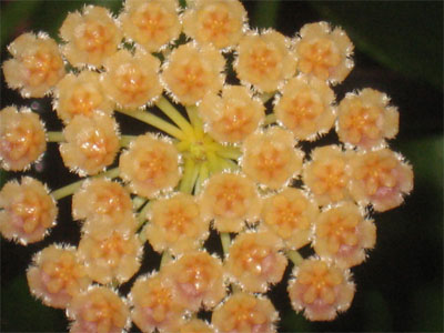 Name:  7.jpg
Views: 532
Size:  67.3 KB