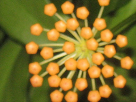 Name:  6.jpg
Views: 536
Size:  65.0 KB