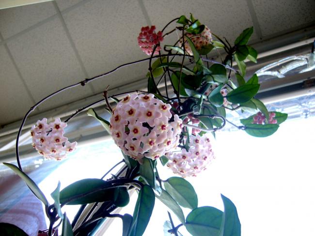 Name:  P1030449.jpg
Views: 710
Size:  50.1 KB