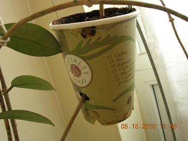 Name:  DSCN1946 daldrma divers..JPG
Views: 539
Size:  27.5 KB