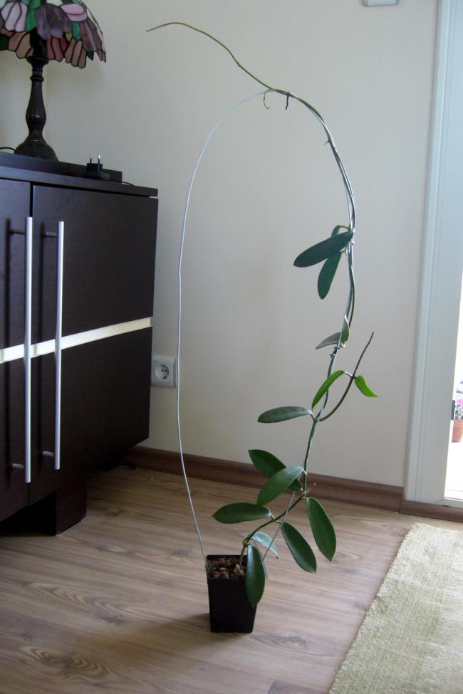 Name:  P1030654.jpg
Views: 861
Size:  53.3 KB