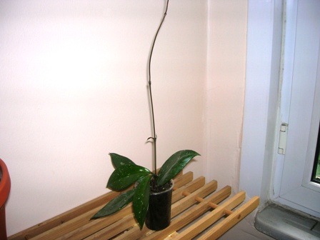 Name:  DSCN0831.JPG
Views: 564
Size:  49.1 KB