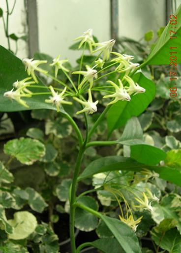 Name:  saylan ieim  17.06.2011.jpg
Views: 644
Size:  32.3 KB