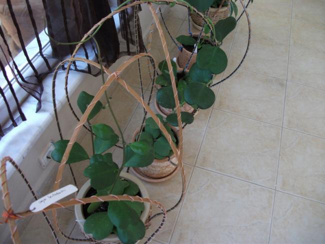 Name:  DSCF1957.jpg
Views: 616
Size:  43.8 KB