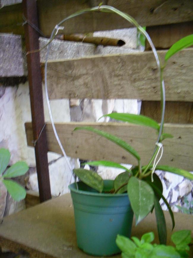 Name:  SDC12482 copy.jpg
Views: 553
Size:  62.3 KB