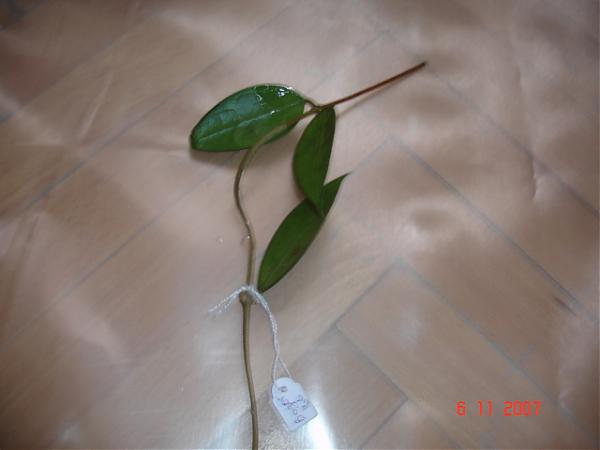 Name:  DSC01444.jpg
Views: 700
Size:  19.1 KB
