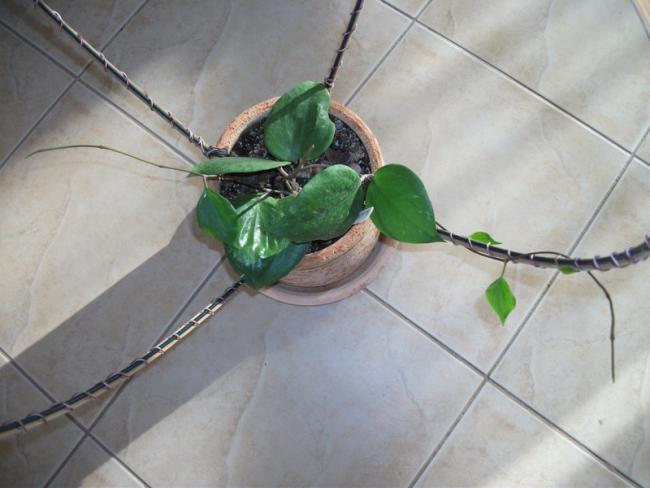 Name:  DSCF2286.jpg
Views: 1075
Size:  36.3 KB