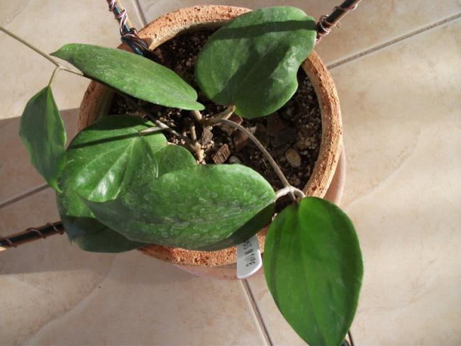 Name:  DSCF2287.jpg
Views: 1136
Size:  41.8 KB