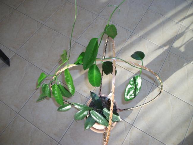 Name:  DSCF2304.jpg
Views: 1159
Size:  40.4 KB