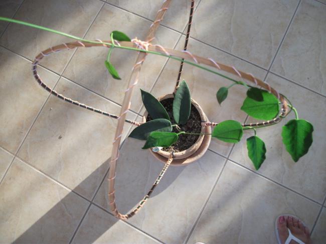 Name:  DSCF2318.jpg
Views: 1547
Size:  39.1 KB