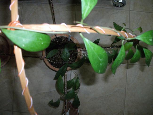 Name:  DSCF2374.jpg
Views: 1183
Size:  35.6 KB