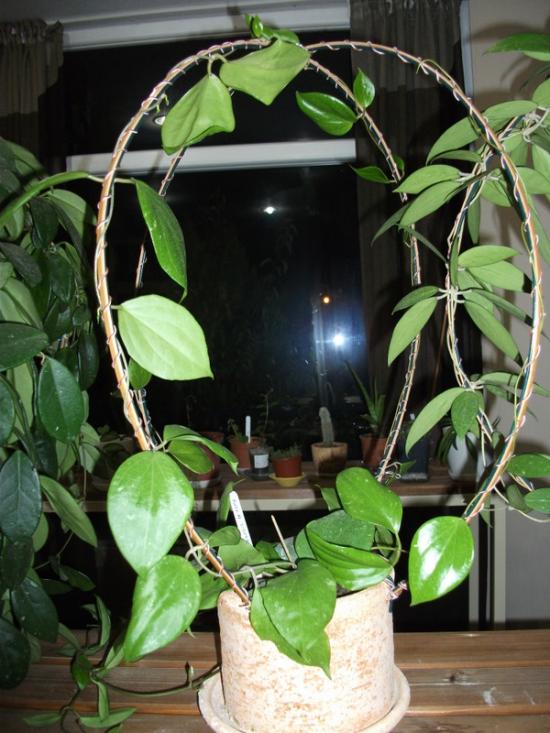 Name:  DSCF4193.jpg
Views: 568
Size:  67.4 KB