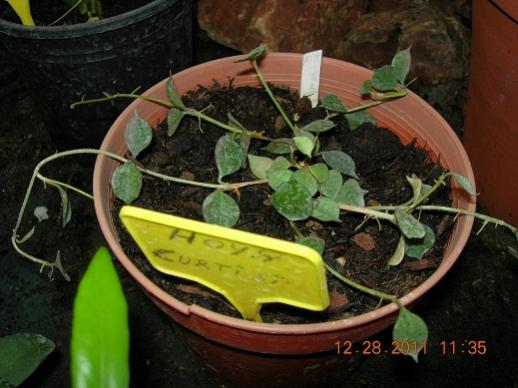 Name:  28.12.2011 ilkin adana.jpg
Views: 857
Size:  36.3 KB