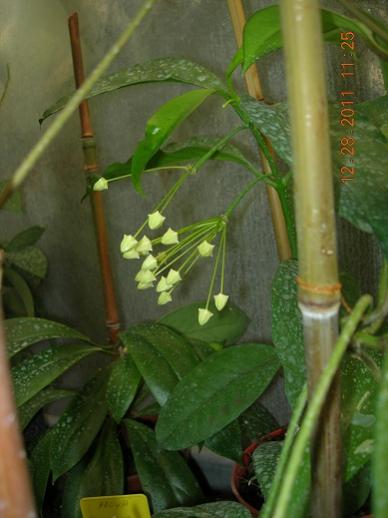Name:  28.12.2011 SAYLAN.jpg
Views: 821
Size:  29.0 KB