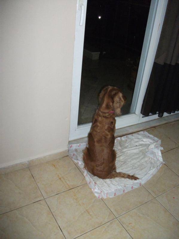 Name:  DSCF4508.jpg
Views: 1798
Size:  38.4 KB