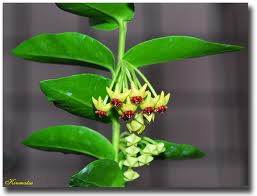 Name:  images.jpg
Views: 727
Size:  7.4 KB
