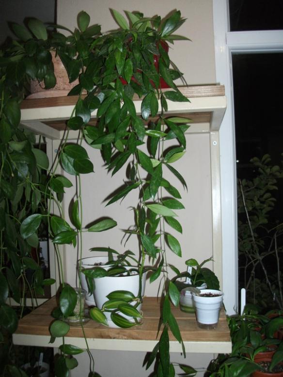 Name:  DSCF4719.jpg
Views: 1202
Size:  65.3 KB