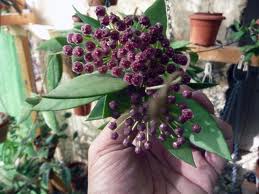 Name:  images.jpg
Views: 1078
Size:  11.1 KB