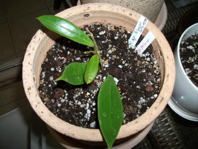 Name:  DSCF5015.jpg
Views: 829
Size:  57.1 KB