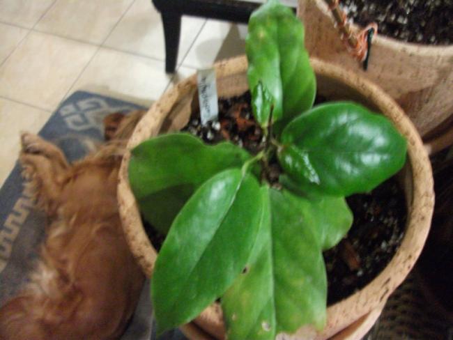 Name:  DSCF5032.jpg
Views: 819
Size:  38.5 KB