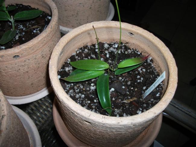 Name:  DSCF5023.jpg
Views: 697
Size:  51.0 KB